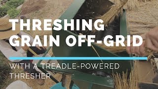 How we do Stuff Threshing Wheat with a Treadle Thresher [upl. by Emolas]