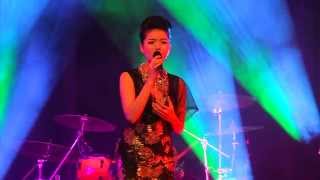 Lệ Quyên  Nếu Như Ngày Đó  Live Show in Paris 06092014 [upl. by Anaerdna122]