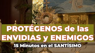 Oración en el Santísimo de PROTECCIÓN Contra ENVIDIAS y ENEMIGOS  15 Minutos en el Santísimo [upl. by Funk202]