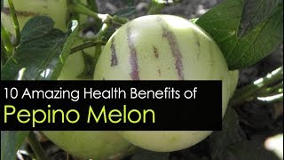 10 Pepino Melon Health Benefits  Super Fruit [upl. by Eladnyl]