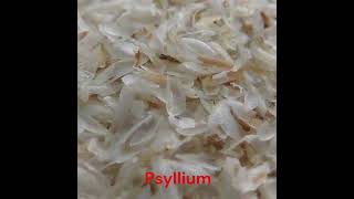 Psyllium [upl. by Varick]