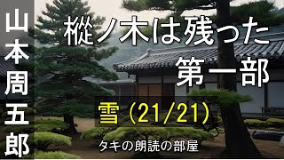 【朗読】樅ノ木は残った 第一部 『21話：雪（2121）』 山本周五郎の人気小説。青空文庫の無料朗読で、作業用BGMや睡眠導入としても♪ [upl. by Vasta]