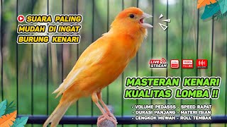 Masteran Kenari PAUD amp Pancingan Kenari MACET BUNYI‼️ Terapi AMPUH Bikin Kenari GACOR Episode 160 [upl. by Oirram]