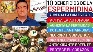 10 BENEFICIOS de la❤️ESPERMIDINA❤️LONGEVIDAD💪ANTIARRUGAS😮 FERTILIDAD💗ACNÉ👍DIABETES👏CORAZÓN💕AUTOFAGIA [upl. by Saffren923]