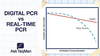 Digital PCR vs Realtime PCR  Ask TaqMan 30 [upl. by Nevin]