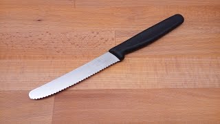 Sharpening serrated knife [upl. by Auqinahc]