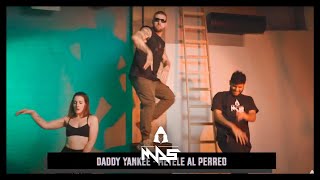 Métele al Perreo  Daddy Yankee  Marlon Alves Dance MAs [upl. by Narcho134]