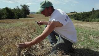 GAEC de La Baronnesse agriculture de conservation [upl. by Sivrep]