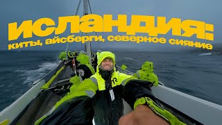 VLOG 3 – ИСЛАНДИЯ  Киты Водопады Северное Сияние [upl. by Matazzoni]