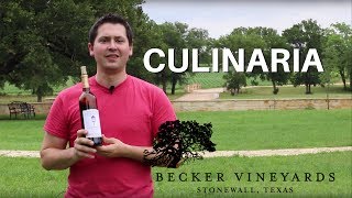 Becker Vineyards 2015 Culinaria Red Blend Wine Review [upl. by Deckert]