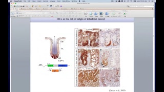 Linking Epigenetics to Metabolism and cancer SIRT6 provides new clues [upl. by Aleekahs]