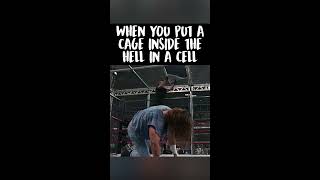 This Match Had A Steel Cage Inside Hell In A Cell shorts [upl. by Sosna1]