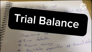 Trial balance preparationAccounting [upl. by Ahsiemak]