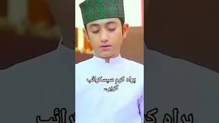 Mojeja Kitna Nirala Ghulam Mustafa Qadri shorts shortvideo ghulammustafaqadri [upl. by Nallid176]