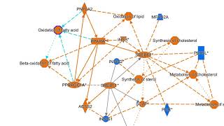 Examining Graphical Summary results in QIAGEN Ingenuity Pathway Analysis software video tutorial [upl. by Ykcin207]