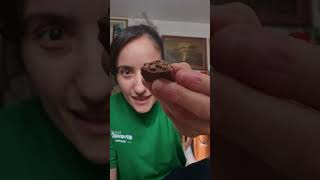 Provo il cioccolato Ferrero Rocher nocciola e mandorla shortsvideo [upl. by Ifill]