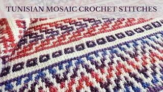 Part 1  Tunisian Mosaic Crochet Stitches  Right Handed [upl. by Derwood237]