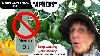 quotStop using Neemquot to control Aphids The aphid is a messenger [upl. by Ahsaf]