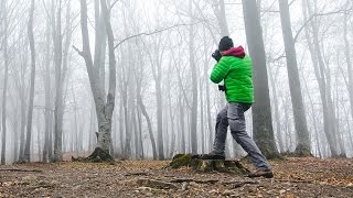 Landscape Photography Foggy Forests with 50mm Lens Experiment [upl. by Laeira175]