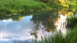 Under the Surface  Vol10 Fly Fishing for Pike on Pocklington Canal 13 06 13 [upl. by Namilus727]