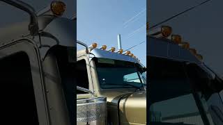 Ruta de Oro Spanish Gold Metallic 389 peterbilt bigrigs trucking bigtrucks goldrush haulingas [upl. by Alamak]