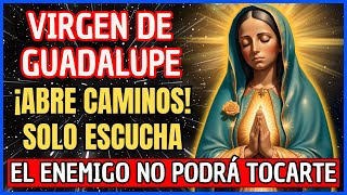 🙏 Poderosa Oración a Virgen de Guadalupe para Protección y Bendiciones 🌹 [upl. by Eimar]