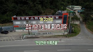 천상천하 미륵존불 229회 조상사자가 비계를 좋아한 이유는 010 6530 0047 [upl. by Oiramej]