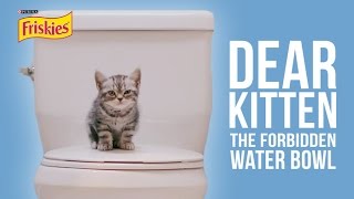 Dear Kitten The Forbidden Water Bowl [upl. by Vania]