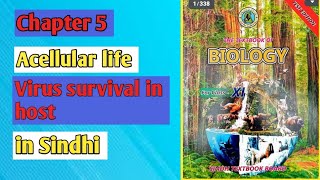 how viruses survive inside the host cell class 11 biology Sindh board [upl. by Ahsiem]