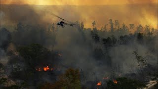 How Alabama Specialists Burn a Forest Safely [upl. by Zashin828]