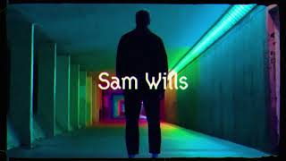 Sam Wills  Curious Official Lyric Video [upl. by Ellenrahc255]