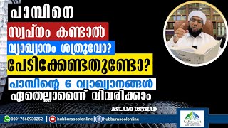 പാമ്പിനെ സ്വപ്നം കണ്ടാൽ വ്യാഖ്യാനം ശത്രുവോ  Latest Speech  Aslami Usthad  Hubburasool Online [upl. by Eurd85]