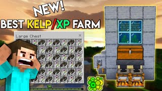 I build a kelp and XP farm in Minecraft PE [upl. by Nerta]