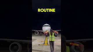 How an Aircraft Park  Marshalling [upl. by Errick190]