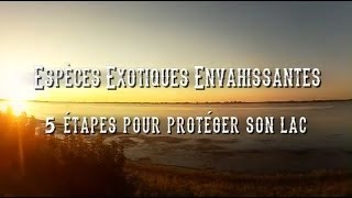 Espèces exotiques envahissantes  5 étapes pour protéger son lac [upl. by Eerdua]