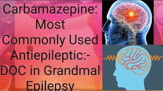 Carbamazepine Pharmacology Anticonvulsant Mechanism of action Uses and ADR CNS pharmacology [upl. by Ludwog]