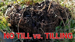 Till vs No Tilling Soil Method [upl. by Valdemar977]