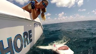 Girl catches Florida Dolphin Sailfish and Big SHARK [upl. by Anirbaz]