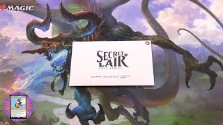 MTG Secret Lair Pixel Perfect  Extra Life 2024 Unboxed [upl. by Woodward]