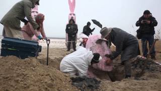 Sensacja archeologiczna na świnoujskiej plaży odkopano kolosy na plaży [upl. by Atoel]