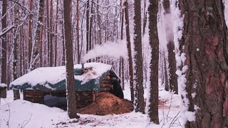 Dugout shelter in 11 days in the woods Solo bushcraft building start to finish survival [upl. by Rebak]