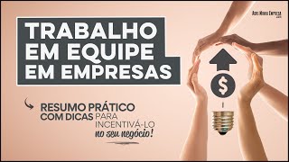 TRABALHO EM EQUIPE EM EMPRESA O QUE É Tudo O Que Precisa Saber de Importante [upl. by Chak]