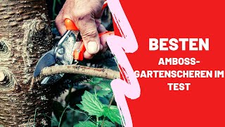 Die Besten Amboss Gartenscheren im Test  Top 5 [upl. by Attenaj]