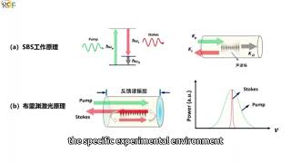 Experimental Separation Of WaveParticle Duality [upl. by Nussbaum]