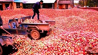 A MAIOR FAZENDA DE FRUTAS DO MUNDO QUE FICA NO BRASIL [upl. by Eilyk823]