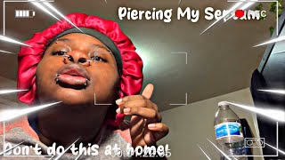 Piercing My Septum  Piercing Series 3 [upl. by Stelle]