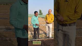 black gold farming viralshort Shorts youtubeShorts trending viral [upl. by Ahsemed]