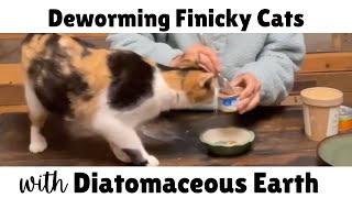 How to Deworm Finicky Cats with Food Grade Diatomaceous Earth [upl. by Varuag]