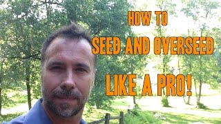 How to Plant Grass Seed and Overseed like a PRO [upl. by Nawor197]