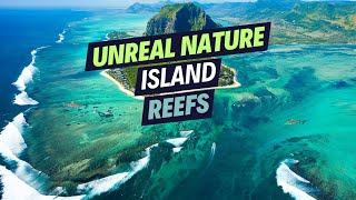 TOP 10 Most Breathtaking Island Reefs Around The World 2025 [upl. by Nnaira]